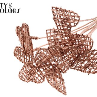 QC Rattan Lata Heart on stick | Colour: Copper-coloured | Flat stake | Length ± 50 centimetre | 10 stakes per bunch | Per bunch
