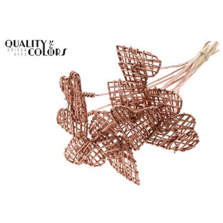 QC Rotan Lata Herz am Stiel | Farbe: Kupferfarben | Flacher Steckstab | Lengte ± 50 centimeter | 10 Steckstäbe pro Bund | Pro Bund