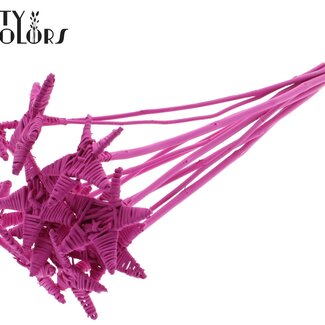 QC Rattan Lata Star on stick | Colour: Cherry-coloured | Flat stem pick | Length ± 50 centimetre | 10 stem picks per bunch