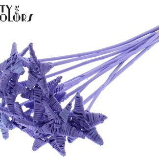 QC Rattan Lata Star on stick | Colour: Milky purple | Flat plant pick | Length ± 50 centimetre | 10 plant picks per bunch