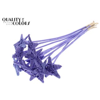 QC Rattan Lata Star on stick | Colour: Milky purple | Flat plant pick | Length ± 50 centimetre | 10 plant picks per bunch