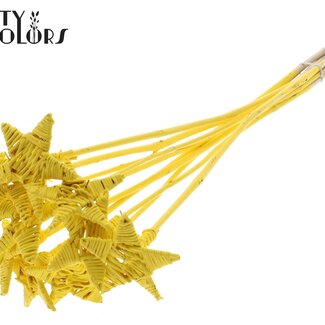 QC Rattan Lata Star on stick | Colour: Yellow | Flat floral pick | Length ± 50 centimetre | 10 floral picks per bunch