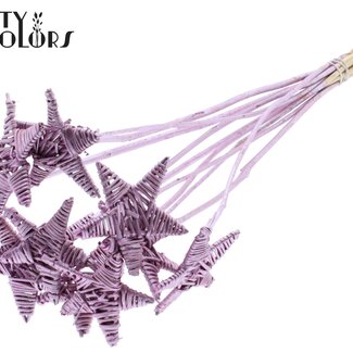 QC Rotan Lata Ster op stok | Kleur: Metallic Roze | Platte Bijsteker | Lengte ± 50 centimeter | 10 bijstekers per bos