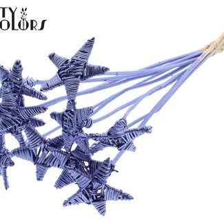 QC Rotan Lata Ster op stok | Kleur: Metallic Paars | Platte Bijsteker | Lengte ± 50 centimeter | 10 bijstekers per bos