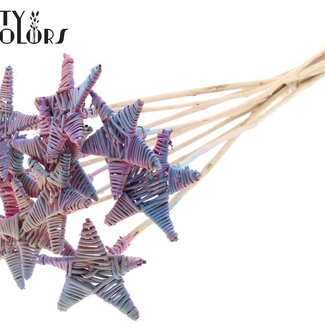 QC Rotan Lata Ster op stok | Kleur: Verloop Roze | Platte Bijsteker | Lengte ± 50 centimeter | 10 bijstekers per bos