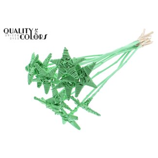 QC Rattan Lata Star on stick | Colour: Mint green | Flat pick | Length ± 50 centimetre | 10 picks per bunch