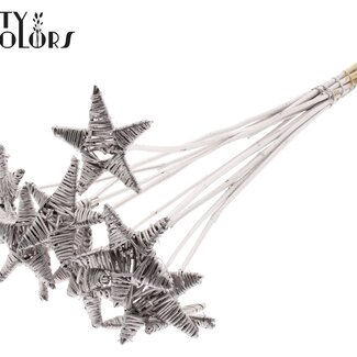 QC Rotan Lata Ster op stok | Kleur: Champagnekleurig | Platte Bijsteker | Lengte ± 50 centimeter | 10 bijstekers per bos