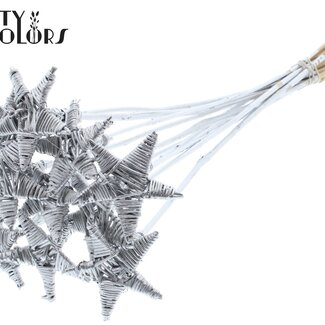 QC Lata Ssar on stem Hat type Silver