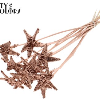 QC Rattan Lata Star on stick | Colour: Copper-coloured | Flat pick | Length ± 50 centimeter | 10 picks per bunch