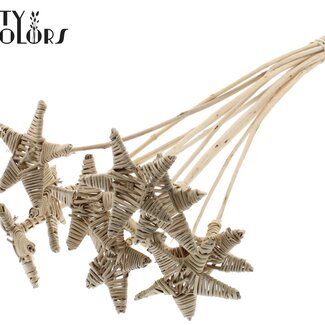 QC Rotin Lata Étoile sur stok | Couleur: Naturel | Pique plate | Longueur ± 50 centimeter | 10 piques par bos