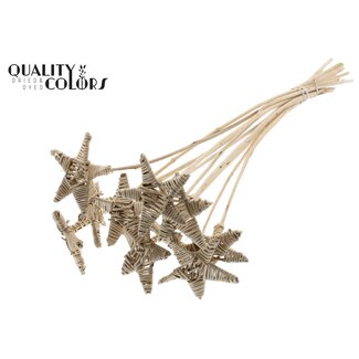 QC Rattan Lata Star on stick | Colour: Natural | Flat stake | Length ± 50 centimetre | 10 stakes per bunch