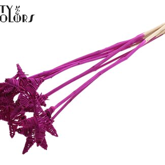 QC Rotan Lata Ster op stok | Kleur: Lilakleurig | Platte Bijsteker | Lengte ± 50 centimeter | 10 bijstekers per bos