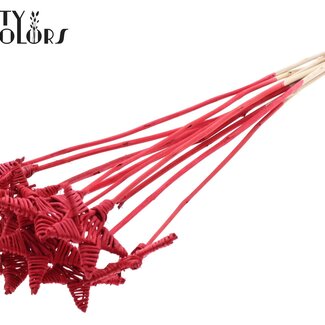 QC Rattan Lata Stern am Stab | Farbe: Rot | Flacher Steckstab | Länge ± 50 centimeter | 10 Steckstäbe pro Bund