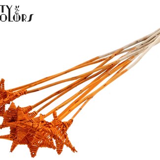 QC Rattan Lata Stern am Stiel | Farbe: Orange | Flacher Steckstab | Länge ± 50 centimeter | 10 Steckstäbe pro Bund