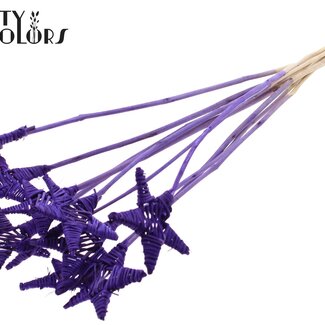 QC Rotin Lata Étoile sur tige | Kleur: Violet | Pique plate | Longueur ± 50 centimeter | 10 piques par bouquet