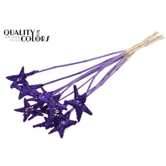 QC Rotan Lata Ster op stok | Kleur: Paars | Platte Bijsteker | Lengte ± 50 centimeter | 10 bijstekers per bos