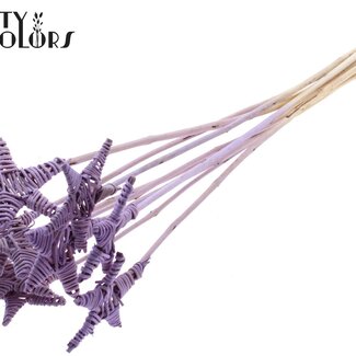 QC Rotin Lata Étoile sur tige | Couleur: Givré Lait-violet | Pique plate d'appoint | Longueur ± 50 centimeter | 10 piques d'appoint par bouquet