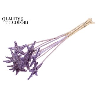 QC Rattan Lata Stern am Stab | Farbe: Gefrostetes Milchviolett | Flacher Stecker | Länge ± 50 centimeter | 10 Stecker pro Bund