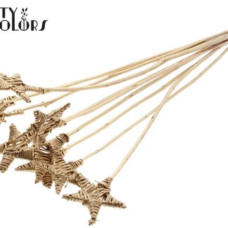QC Rotan Lata Star on stick | Colour: Antique Gold-coloured | Flat pick | Length ± 50 centimetre | 10 picks per bunch