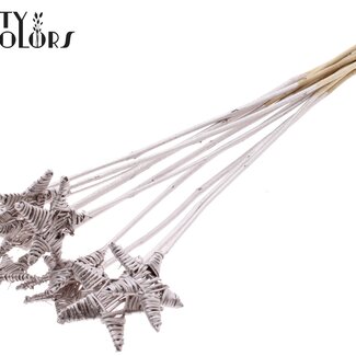 QC Rattan Lata Star on stick | Colour: Platinum-coloured | Flat pick | Length ± 50 centimetre | 10 picks per bunch