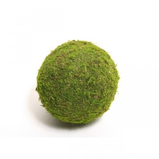 4A Gedroogde Mos Bal Droogdecoratie | Kleur: Groen | Diameter 15 centimeter | Per 12 ballen