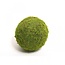 Gedroogde Mos Bal Droogdecoratie | Kleur: Groen | Diameter 15 centimeter | Per 12 ballen