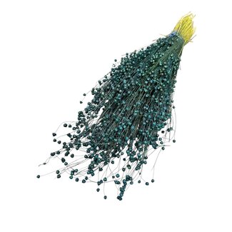 Dutch Dried Gedroogd Lino Vlas | Kleur: Donkerblauw | Linum Droogbloemen | Lengte ± 55 centimeter | Gewicht 150 gram | Per bos