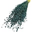 Dried Lino Flax | Colour: Dark blue | Linum dried flowers | Length ± 55 centimeter | Weight 150 gram | Per bunch