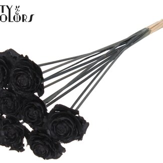 QC Cedar Rose on stem Black