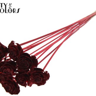 QC Cedar Rose op stok | Kleur: Rood | Dennenappel Bijsteker | Lengte ± 50 centimeter | 10 bijstekers per bos