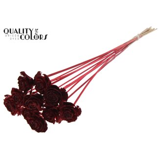 QC Cedar Rose am Stiel | Farbe: Rot | Kiefernzapfen-Stecker | Länge ± 50 centimeter | 10 Stecker pro Bund