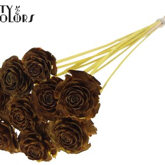 QC Cedar Rose op stok | Kleur: Geel | Dennenappel Bijsteker | Lengte ± 50 centimeter | 10 bijstekers per bos