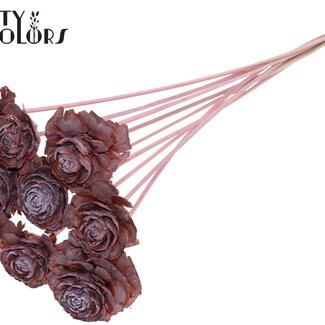 QC Cedar Rose on stem | Colour: Frosted Light Pink | Pinecone pick | Length ± 50 centimetre | 10 picks per bunch