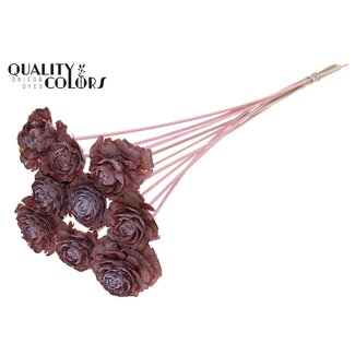 QC Cedar Rose am Stiel | Farbe: Gefrostetes Hellrosa | Kiefernzapfen-Stecker | Länge ± 50 centimeter | 10 Stecker pro Bund