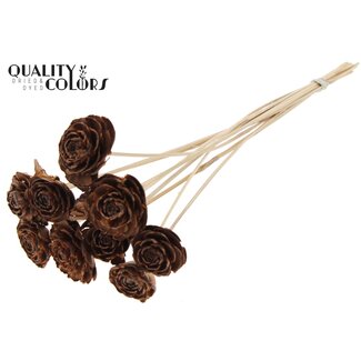 QC Cedar Rose on stem | Colour: Natural | Pinecone pick | Length ± 50 centimetre | 10 picks per bunch
