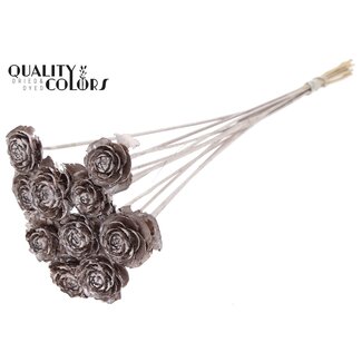 QC Cedar Rose on stem | Colour: Champagne-coloured | Pine cone pick | Length ± 50 centimeter | 10 picks per bunch