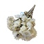 Gedroogde Gebleekte Kaaps Everlasting Strobloem | Kleur: Wit | Helichrysum Droogbloemen | Lengte ± 55 centimeter | Gewicht 100 gram | Per bos