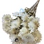 Gedroogde Gebleekte Kaaps Everlasting Strobloem | Kleur: Wit | Helichrysum Droogbloemen | Lengte ± 55 centimeter | Gewicht 100 gram | Per bos