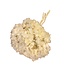 Konservierte Gebleichte Hortensie | Farbe: Weiß | Hortensie Trockenblumen | Länge ± 30 centimeter | Gewicht 50 gram | Pro Bund