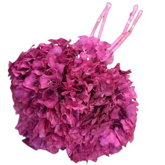 Casa Alegria Gepreserveerde Hortensia | Kleur: Roze | Hydrangea Droogbloemen | Lengte ± 30 centimeter | Gewicht 50 gram | Per bos
