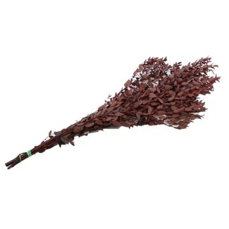 4A Konservierter Eukalyptus | Farbe: Rot | Länge ± 65 centimeter | Gewicht 150 gram | Pro Bund