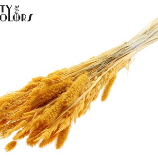 QC Strauß Gebleichte getrocknete Blumenmischung | Farbe: aprikosenfarben | Länge ± 60 centimeter | Pro Bund