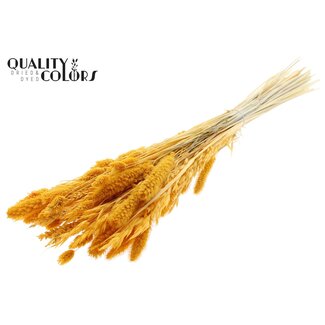 QC Boeket Gebleekte Gedroogde Bloemenmix | Kleur: Abrikooskleurig | Lengte ± 60 centimeter | Per bos