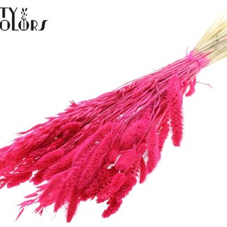 QC Dried Flower Mix per bunch Bleached Cerise