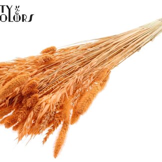 QC Boeket Gebleekte Gedroogde Bloemenmix | Kleur: Zalmkleurig | Lengte ± 60 centimeter | Per bos