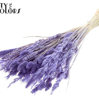 QC Boeket Gebleekte Gedroogde Bloemenmix | Kleur: Milkapaars | Lengte ± 60 centimeter | Per bos