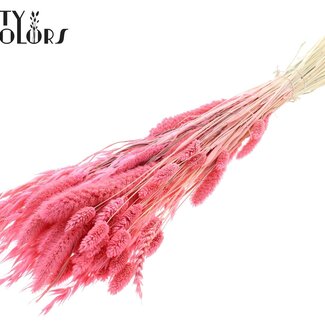 QC Boeket Gebleekte Gedroogde Bloemenmix | Kleur: Roze | Lengte ± 60 centimeter | Per bos