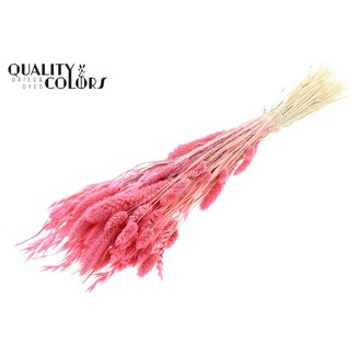 QC Boeket Gebleekte Gedroogde Bloemenmix | Kleur: Roze | Lengte ± 60 centimeter | Per bos