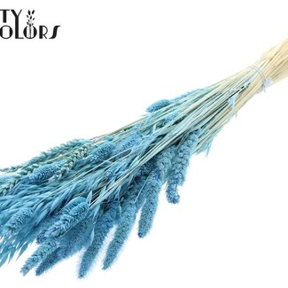 QC Boeket Gebleekte Gedroogde Bloemenmix | Kleur: Lichtblauw | Lengte ± 60 centimeter | Per bos