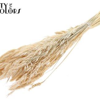 QC Boeket Gebleekte Gedroogde Bloemenmix | Kleur: Wit | Lengte ± 60 centimeter | Per bos